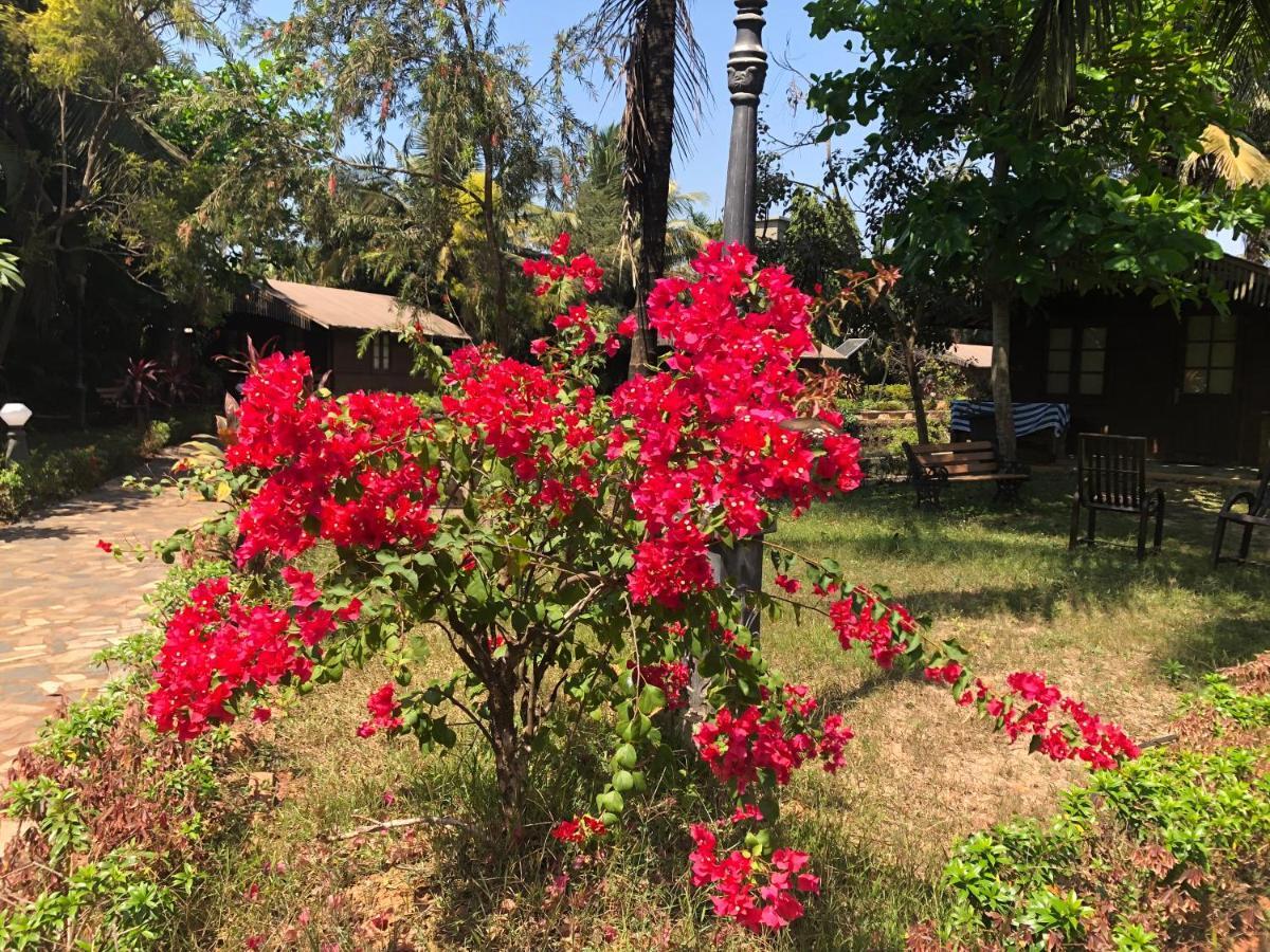 Resort Primo Bom Terra Verde Baga Esterno foto