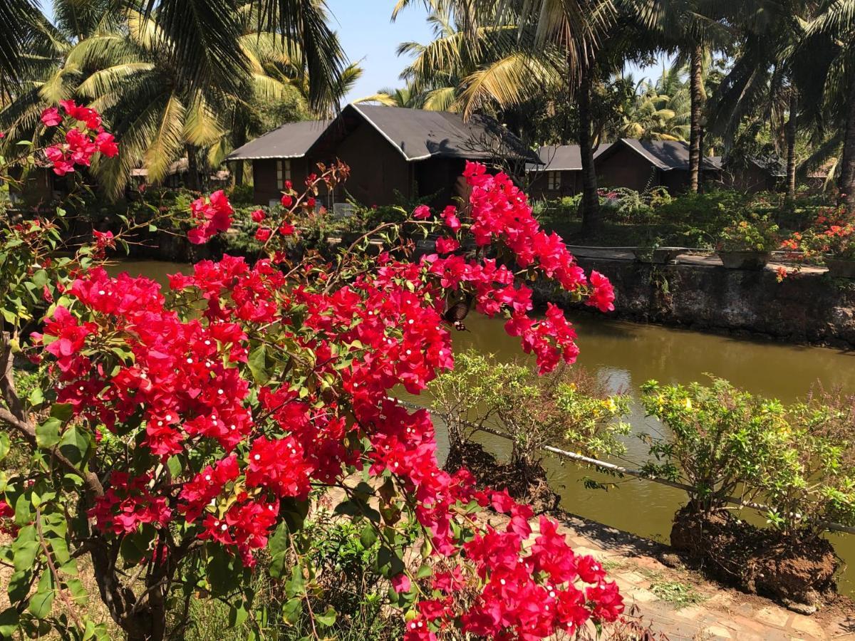 Resort Primo Bom Terra Verde Baga Esterno foto